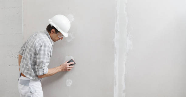 Best Water-Damaged Drywall Repair  in Braham, MN